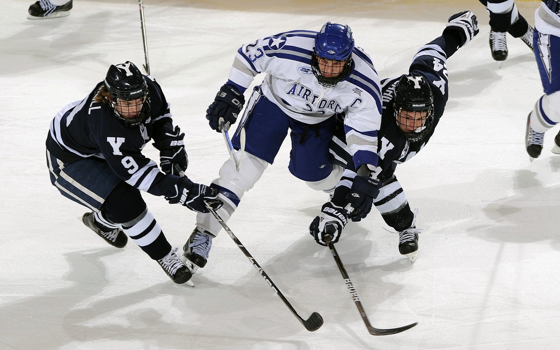大数据分析服务进入省队训练营,大数据集中训练营