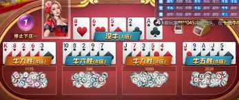 开云·体育（官网）APP下载 - KAIYUN SPORTS